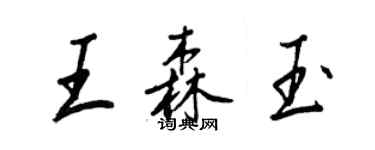 王正良王森玉行書個性簽名怎么寫