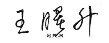 駱恆光王曙升草書個性簽名怎么寫