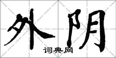 翁闓運外陰楷書怎么寫