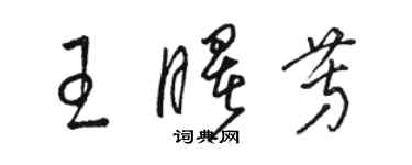 駱恆光王曙芳草書個性簽名怎么寫