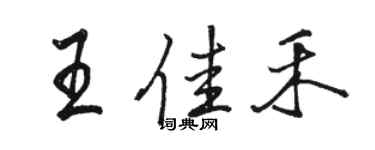 駱恆光王佳禾行書個性簽名怎么寫