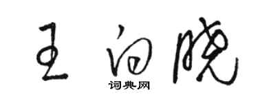 駱恆光王白曉草書個性簽名怎么寫