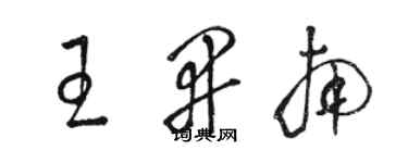 駱恆光王開南草書個性簽名怎么寫