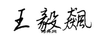 王正良王毅飈行書個性簽名怎么寫