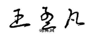 曾慶福王孟凡草書個性簽名怎么寫