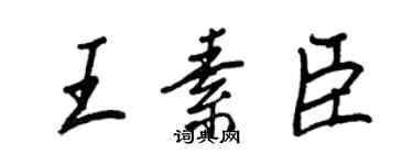 王正良王素臣行書個性簽名怎么寫
