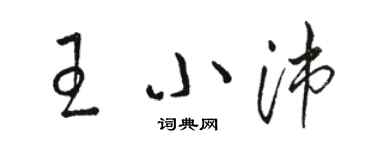 駱恆光王小沛草書個性簽名怎么寫