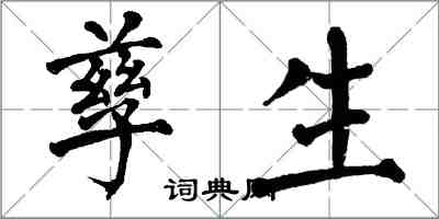 翁闓運孳生楷書怎么寫