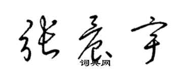 梁錦英張晨宇草書個性簽名怎么寫