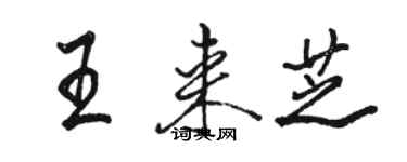 駱恆光王來芝行書個性簽名怎么寫