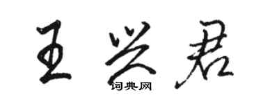 駱恆光王興君行書個性簽名怎么寫