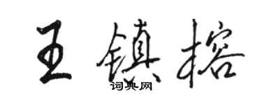 駱恆光王鎮榕行書個性簽名怎么寫