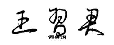 曾慶福王習君草書個性簽名怎么寫