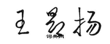 駱恆光王昂揚草書個性簽名怎么寫