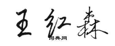 駱恆光王紅森行書個性簽名怎么寫