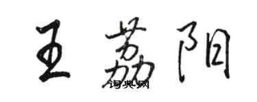 駱恆光王荔陽行書個性簽名怎么寫