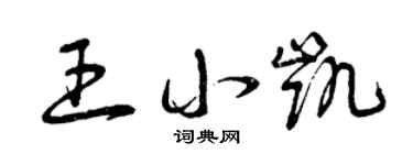 曾慶福王小凱草書個性簽名怎么寫