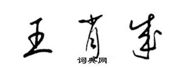 梁錦英王肖成草書個性簽名怎么寫