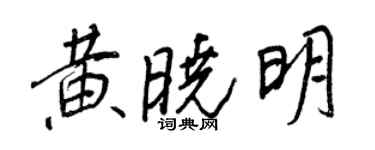 王正良黃曉明行書個性簽名怎么寫