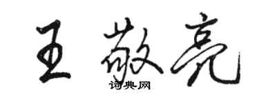 駱恆光王敬亮行書個性簽名怎么寫