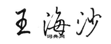 駱恆光王海沙行書個性簽名怎么寫