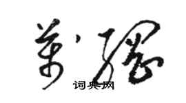 駱恆光萬綱草書個性簽名怎么寫