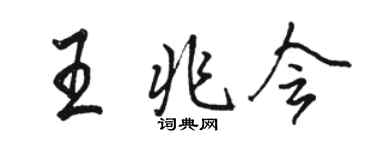 駱恆光王兆會行書個性簽名怎么寫