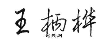 駱恆光王柄樺行書個性簽名怎么寫