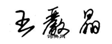 朱錫榮王嚴晶草書個性簽名怎么寫