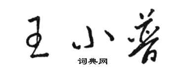 駱恆光王小普草書個性簽名怎么寫