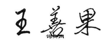 駱恆光王善果行書個性簽名怎么寫