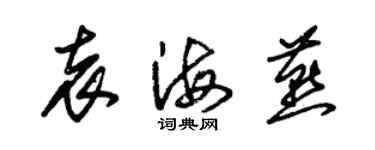 朱錫榮袁海燕草書個性簽名怎么寫