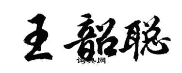 胡問遂王韶聰行書個性簽名怎么寫