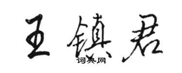 駱恆光王鎮君行書個性簽名怎么寫