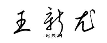 梁錦英王新尤草書個性簽名怎么寫