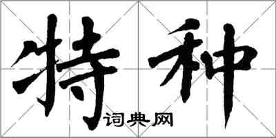 翁闓運特種楷書怎么寫