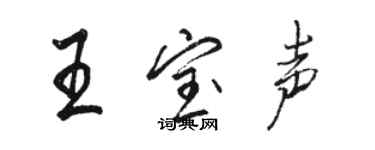 駱恆光王寶聲行書個性簽名怎么寫