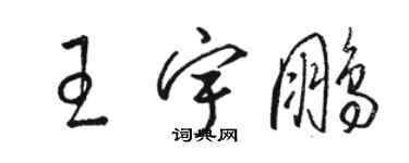 駱恆光王宇鵬草書個性簽名怎么寫