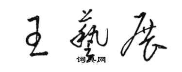 駱恆光王藝展草書個性簽名怎么寫