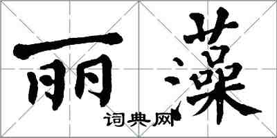 翁闓運麗藻楷書怎么寫