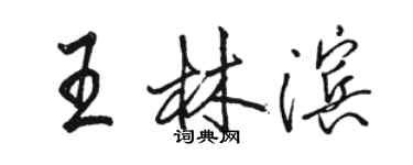 駱恆光王林濱行書個性簽名怎么寫