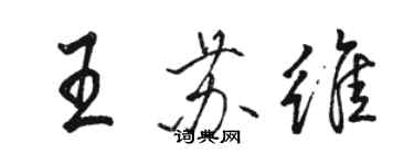 駱恆光王蘇維行書個性簽名怎么寫