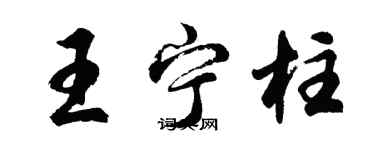 胡問遂王寧柱行書個性簽名怎么寫