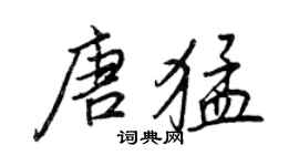 王正良唐猛行書個性簽名怎么寫