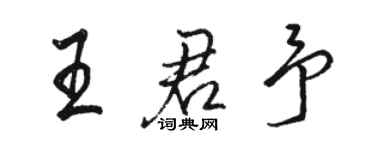 駱恆光王君予行書個性簽名怎么寫
