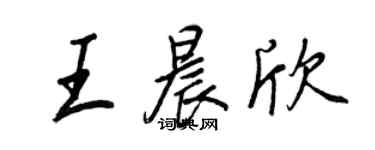 王正良王晨欣行書個性簽名怎么寫