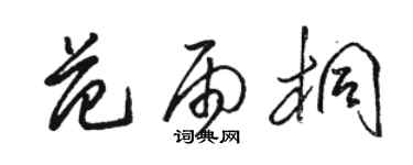 駱恆光范雨桐草書個性簽名怎么寫