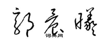 梁錦英郭晨曦草書個性簽名怎么寫