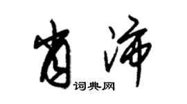 朱錫榮肖沛草書個性簽名怎么寫