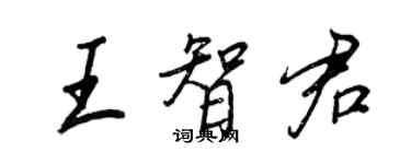 王正良王智君行書個性簽名怎么寫